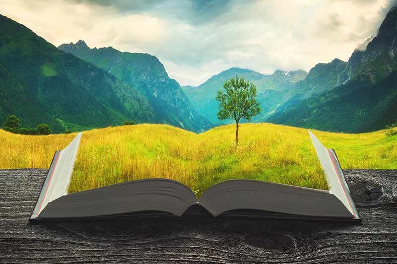 Illustration of a book open mimicking hills leading up to a mountain range.