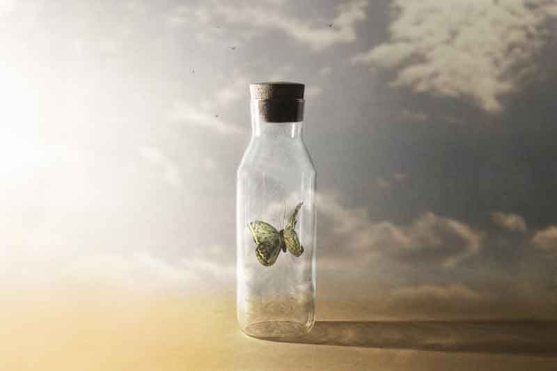 Abstract image of a butterfly in a bottle, representing abstract nouns in writing.
